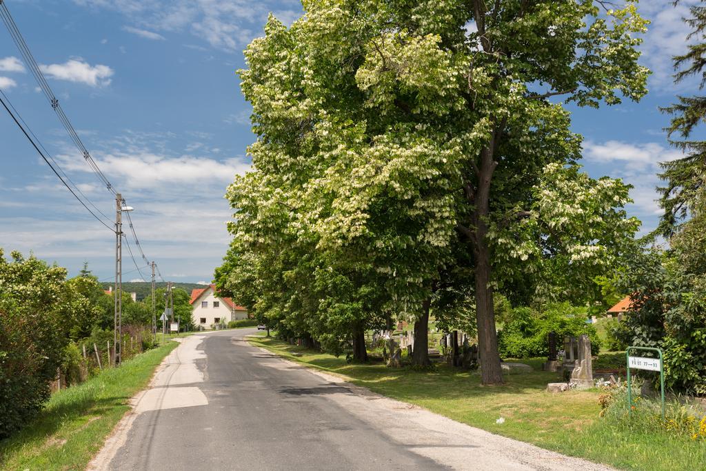 Bordoma Falusi Vendégház Balatonszolos Exterior foto